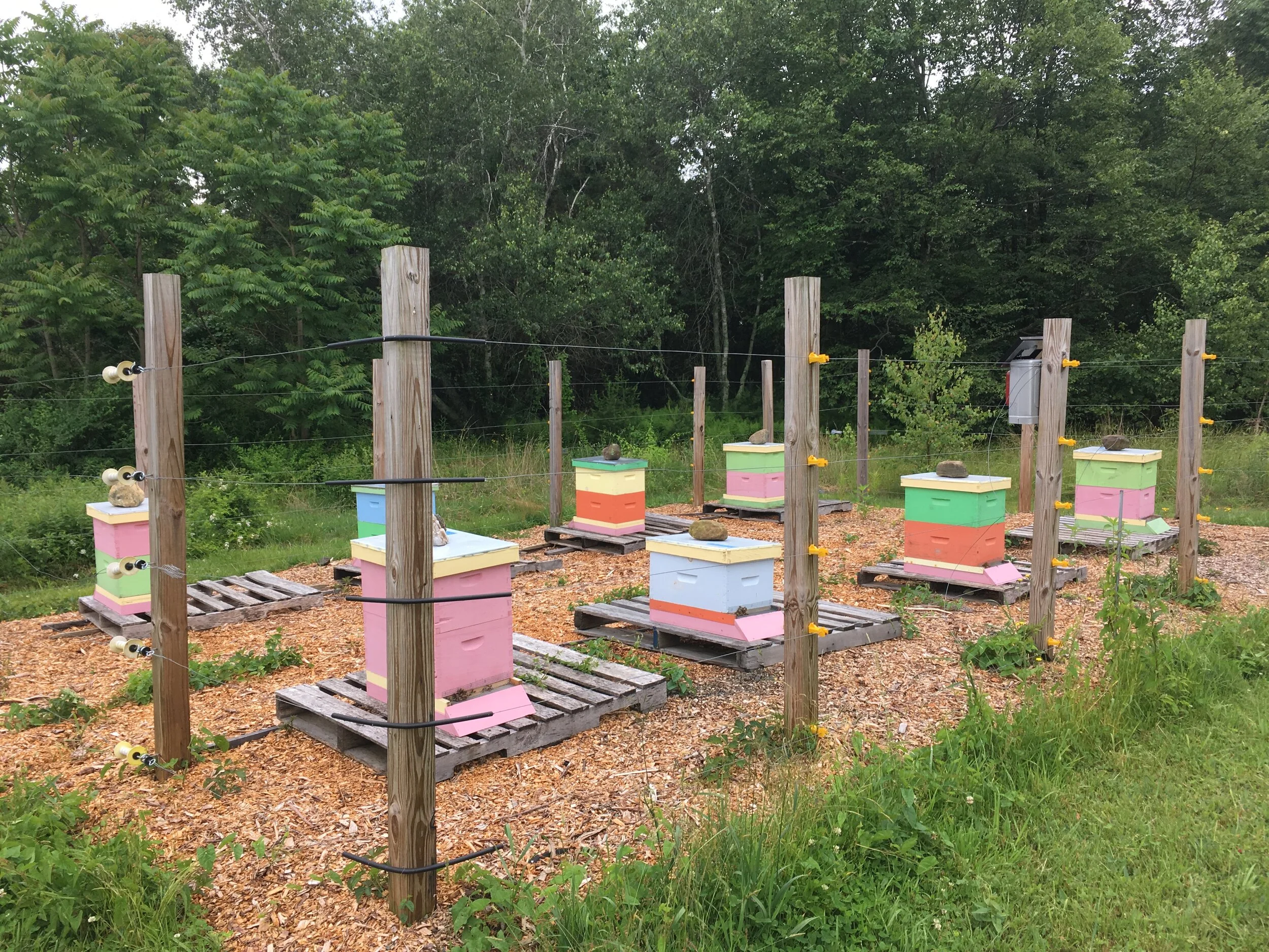 Blog 2 — Helmstead Farm
