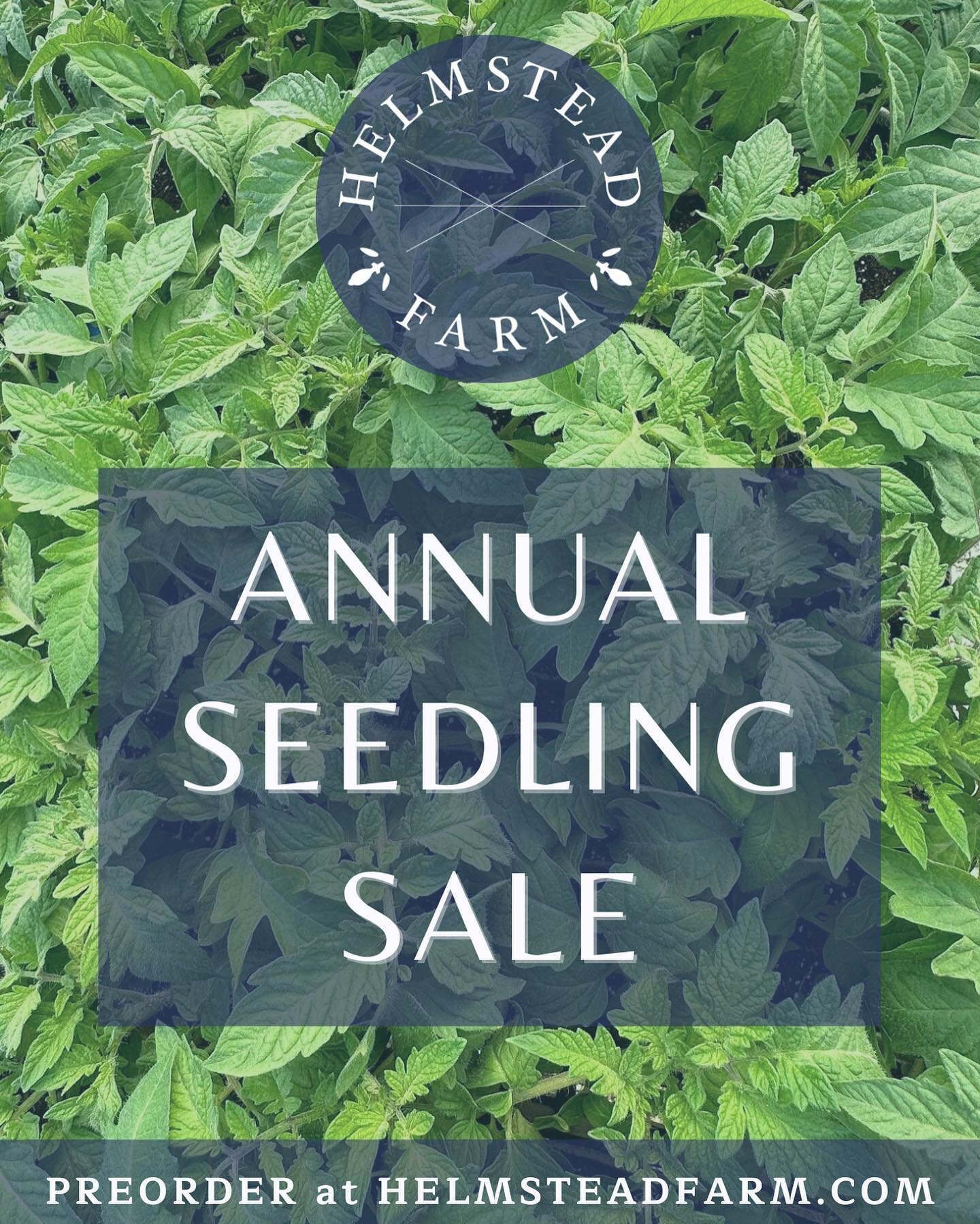 IT&rsquo;S TIME ! Preorders are open for our annual plant sale. Link in our bio takes you to the Seedling Store where you can browse herbs and an expanded selection of vegetable starts. 
Here&rsquo;s to spring and an epic garden for Summer 2024!