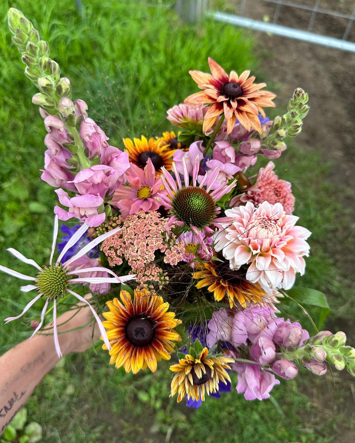 Too pretty&hellip; flowers for me 🥰 and flowers for the market - this is the first week DAHLIAS are making an appearance in our Big Bouquets - 2 sizes of mixed bouquets this week. @litchfieldhillsfarmfreshmarket litchfieldhillsfarmfreshmarket from 1