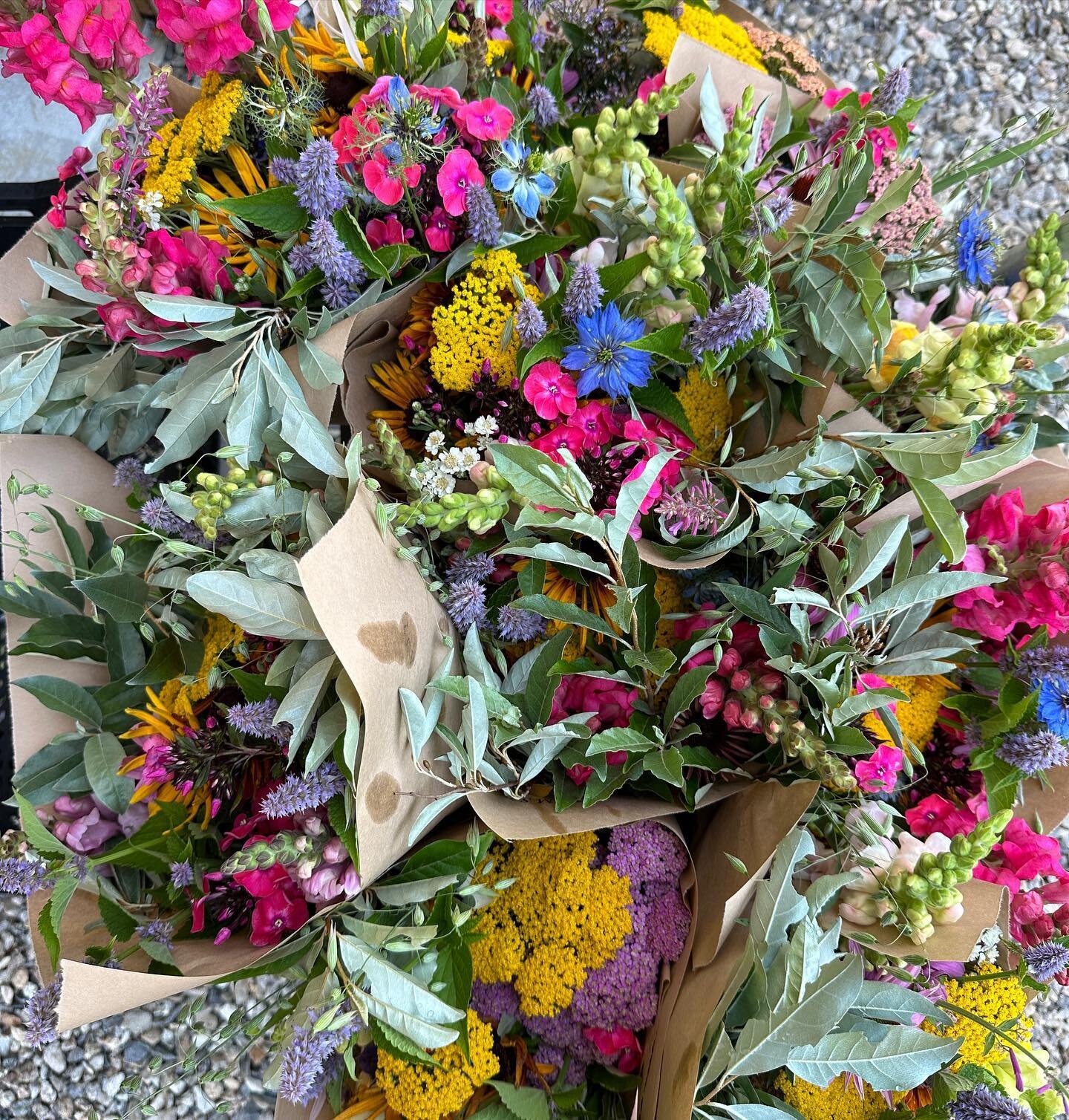 INCOMING: Best market flowers in #litchfieldct 😉and GORGEOUS FAVA BEANS and also SUGAR SNAPS @litchfieldhillsfarmfreshmarket