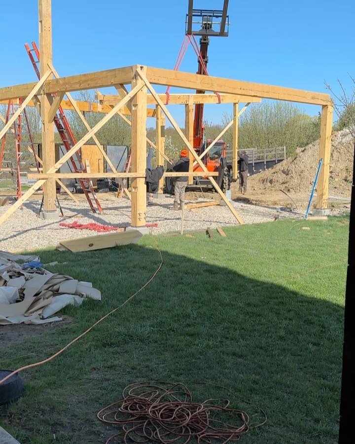 Extremely exciting happenings at the farm &hellip;
- New timber frame barn going up - 2.5 years in the planning, 10-day framing performed by this expert crew
- 1st year perennials (daffodils) being vase tested 
- Olive, resident farm doodle, inspecti