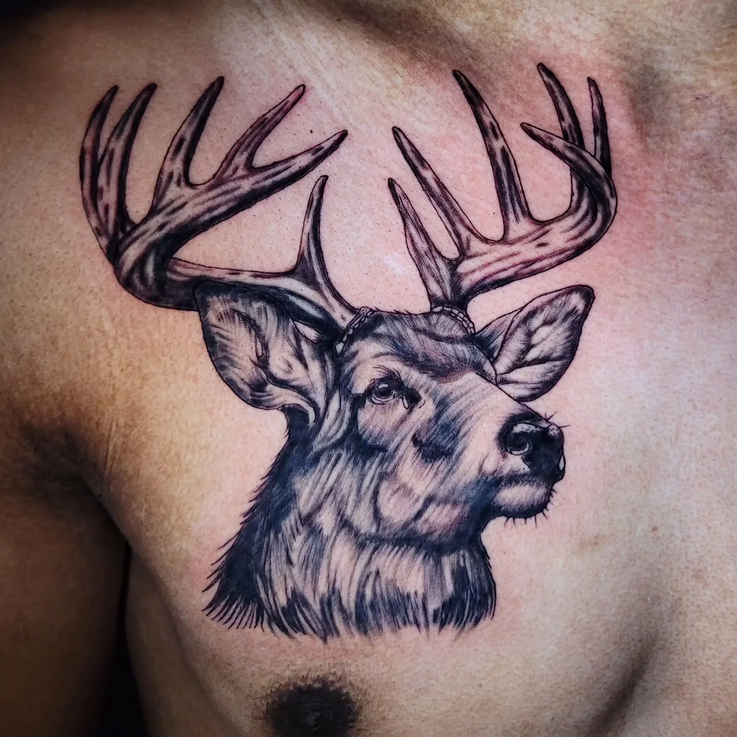 I had an absolute blast tattooing this deer! I would love the opportunity to tattoo more wildlife. Thanks for taking a look! DM, email, or call me at the shop to book!

#tattooartist #tattoo #kwadronneedles #blackandgrey #animaltattoo #kcmo