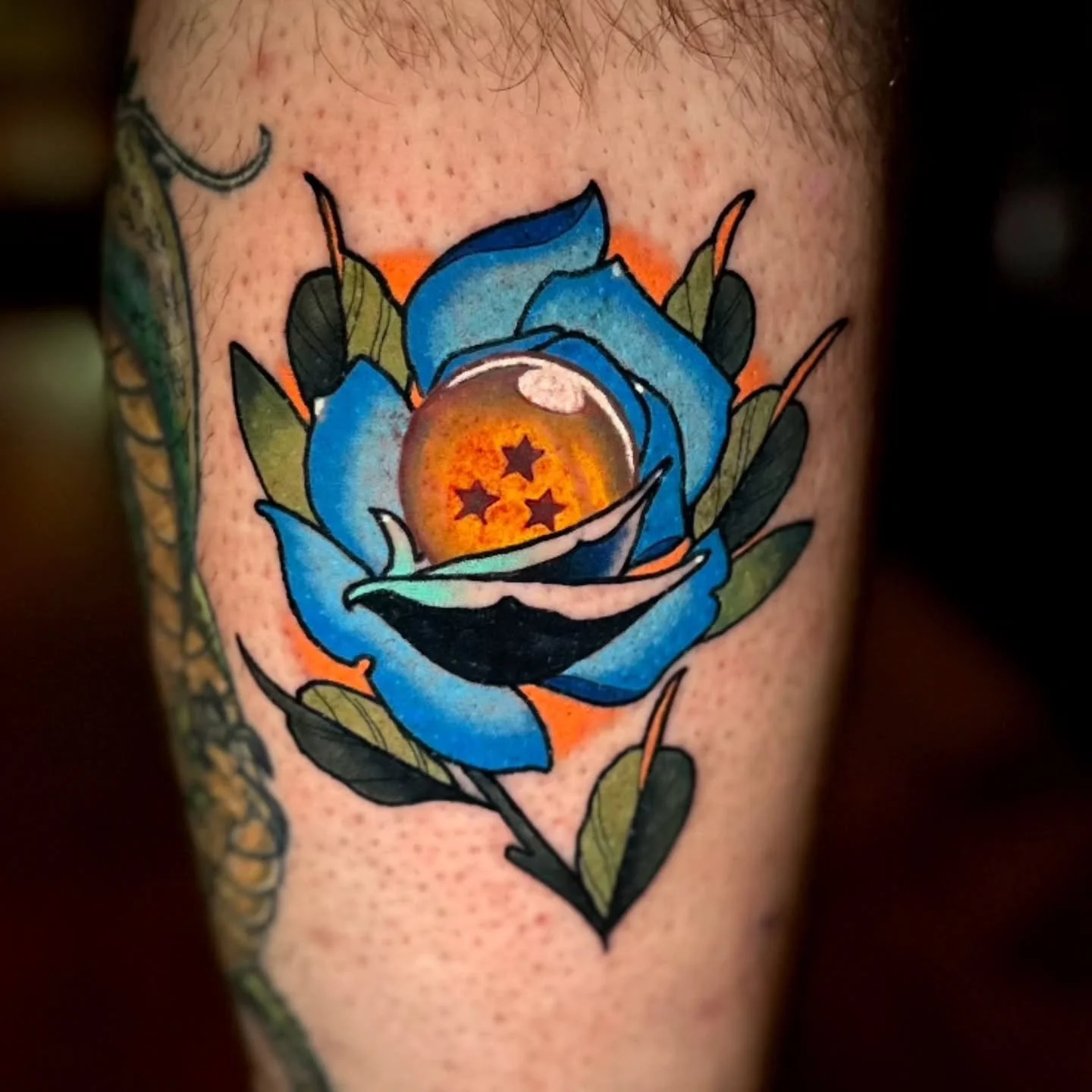 I am very pleased with how this tattoo turned out! That late night paid off. Thank you to @fikidervisevic for sitting great! I hope we can add more soon. Big thank you to @mikey_ruck for walking me through his approach to color theory. 

My books are