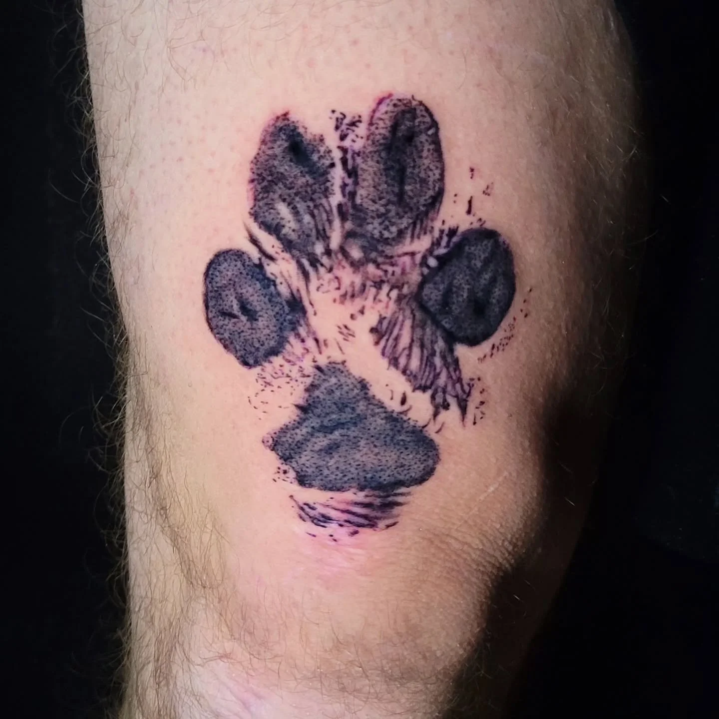 Last tattoo of 2025! Cheers! HUGE thank you to everyone who got tattooed this year. I'm very excited to see what new projects are to come in 2026!
As always, thanks for looking!

#tattoo #dynamicink #kwadronneedles #blackandgrey #kansascity