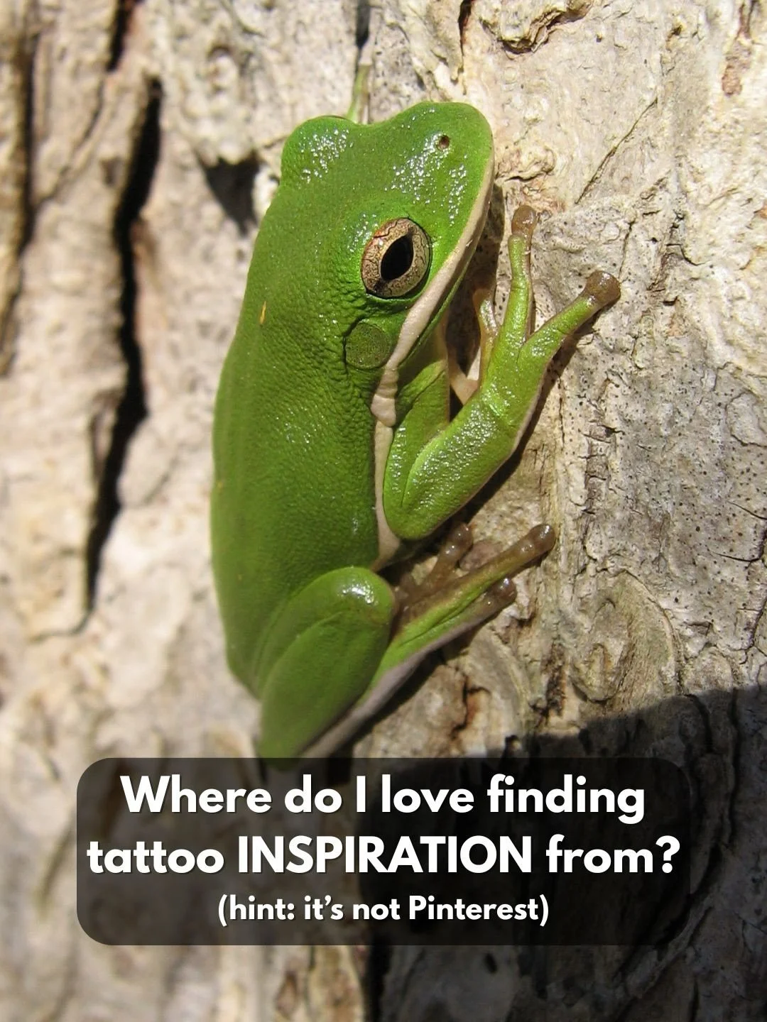 A lot of my tattoo inspiration starts outside. 
Hiking, camping, flipping over rocks, slowing down long enough to notice the small stuff.

Snakes, lizards, frogs&mdash;these creatures are unreal when you really look at them. The textures, the pattern