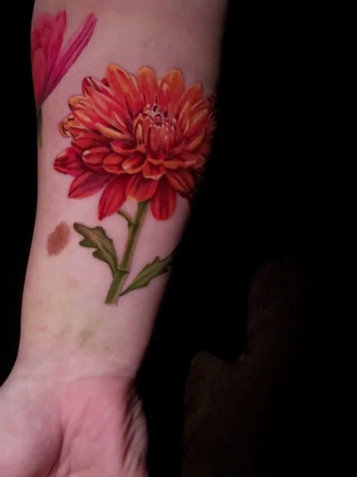 Finally got to add an orange chrysanthemum to this lovely floral sleeve I've been working on. I'm really pleased with our progress. I can't wait to see what we add next!

DM or email (in bio) for booking.

#kansascity #colortattoo #floral #kwadronnee