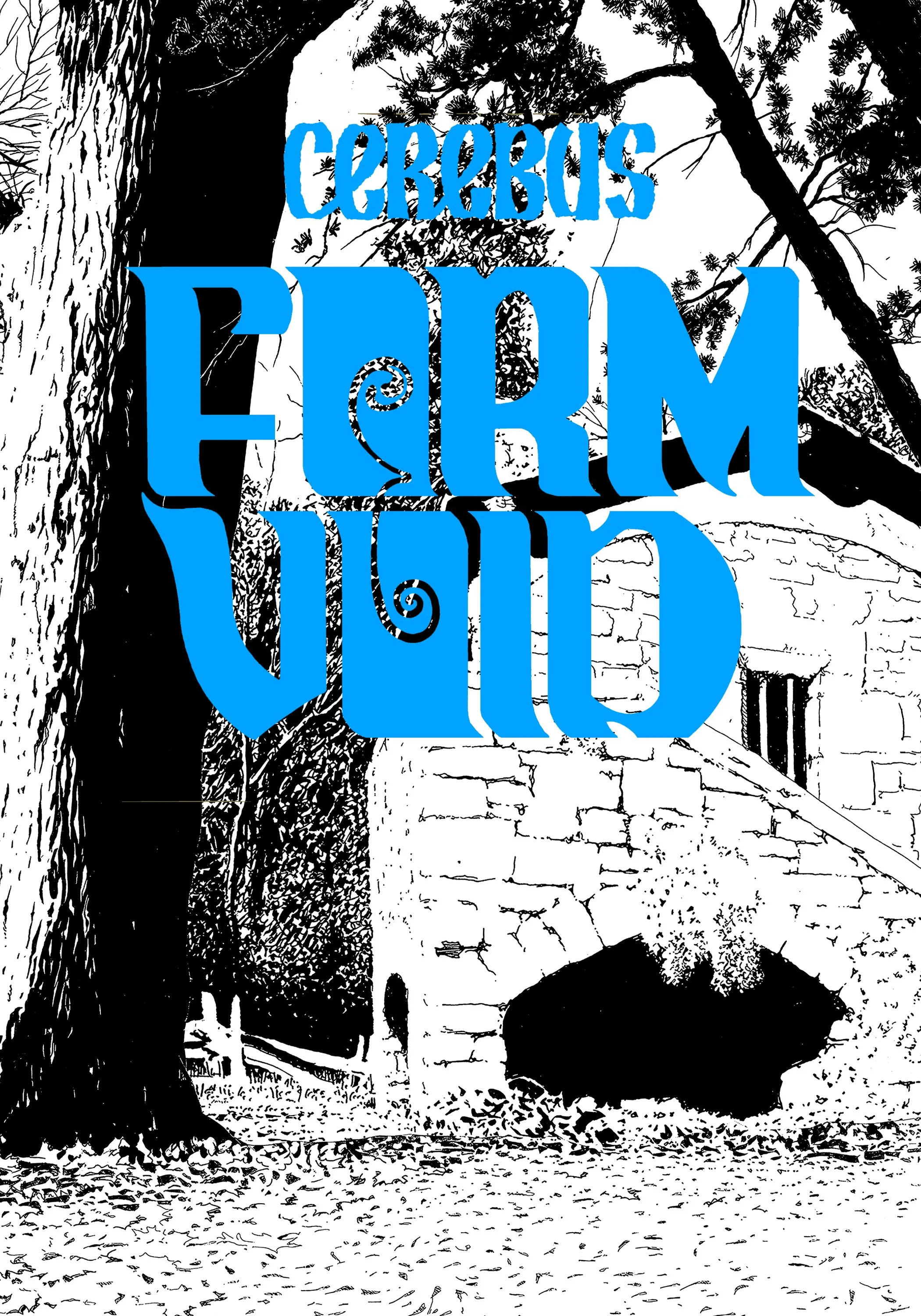 Form Void SC blue cover.jpg