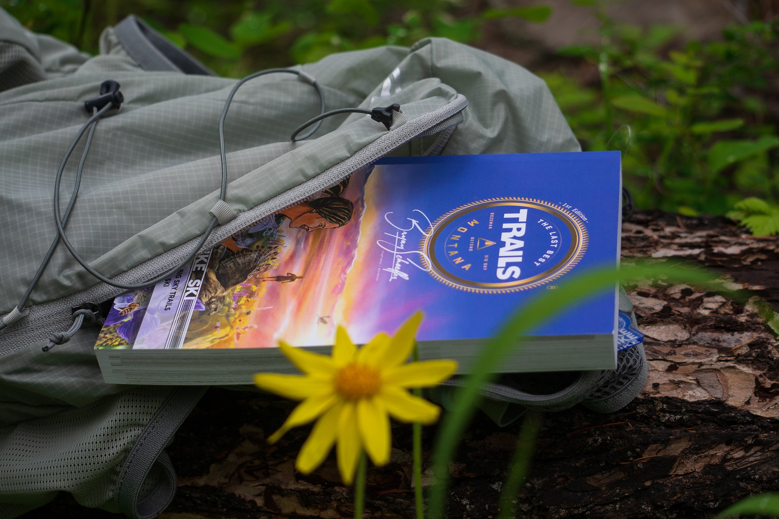 TrailsBookPackLog.jpg