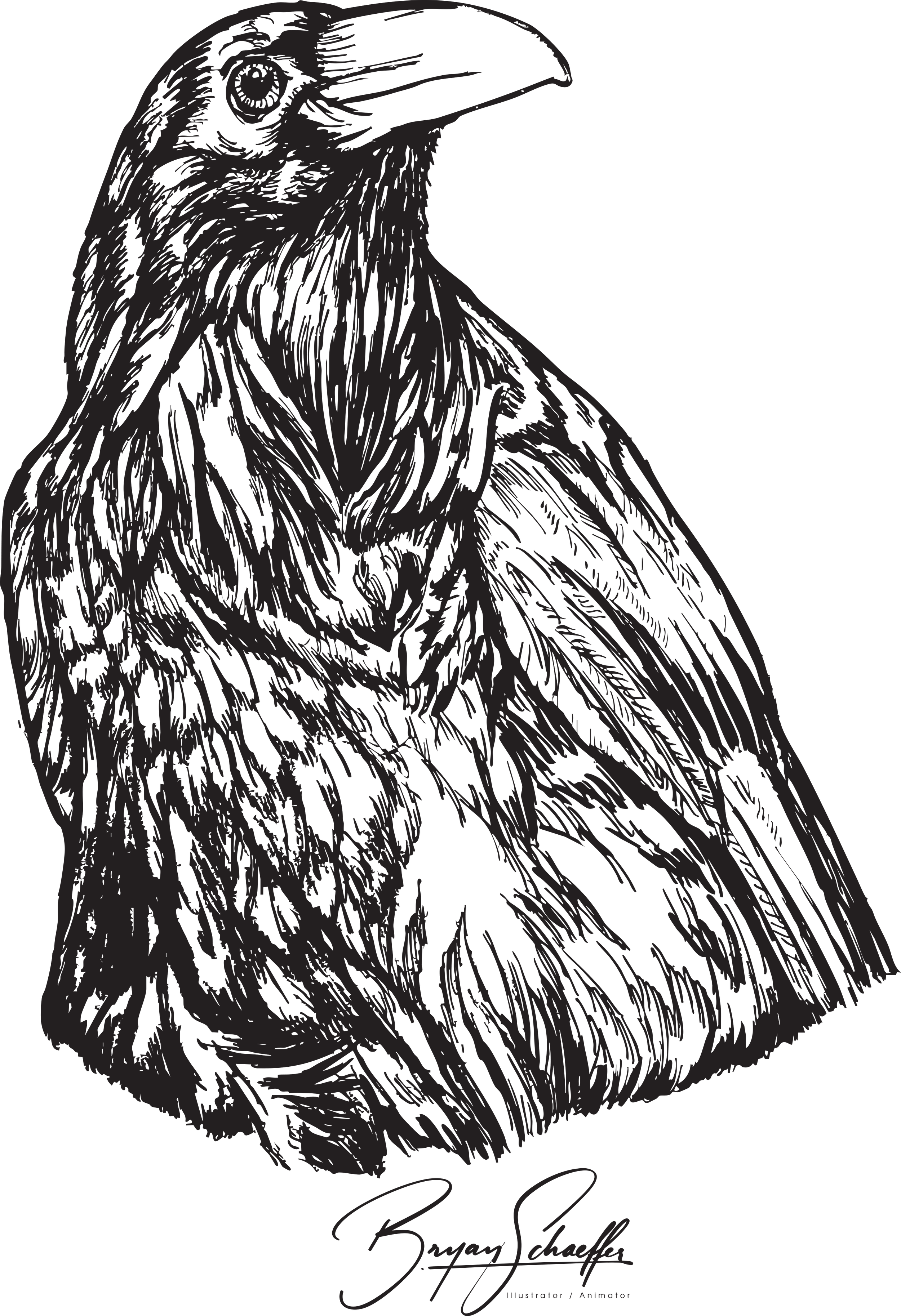 RavenTBlack.png