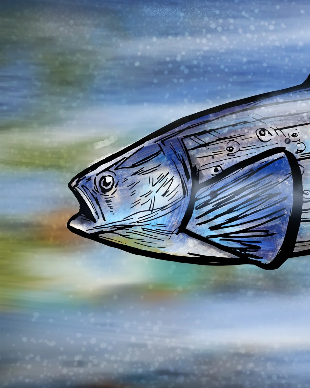 Grayling1.jpg