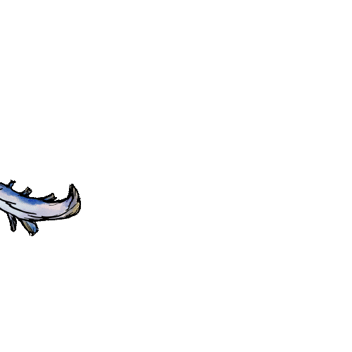 GraylingLoop_2.gif