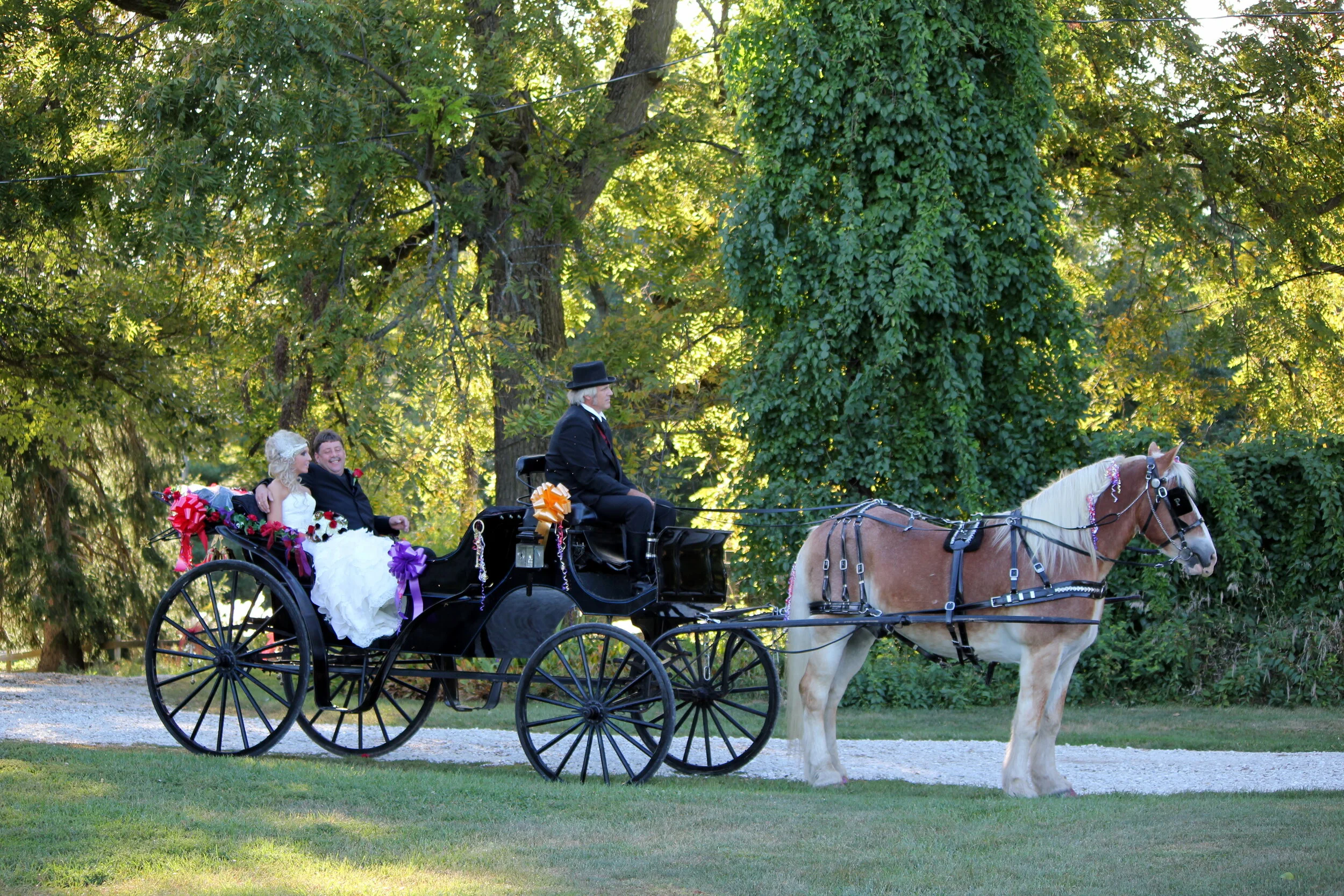 Rental Services — Weddings at Walnut Grove Farm