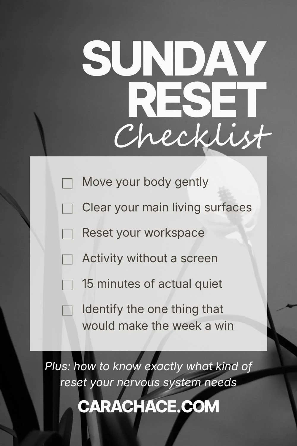 graphic showing a checklist of ideas for a sunday reset routine and list plus how to know what your nervous system needs