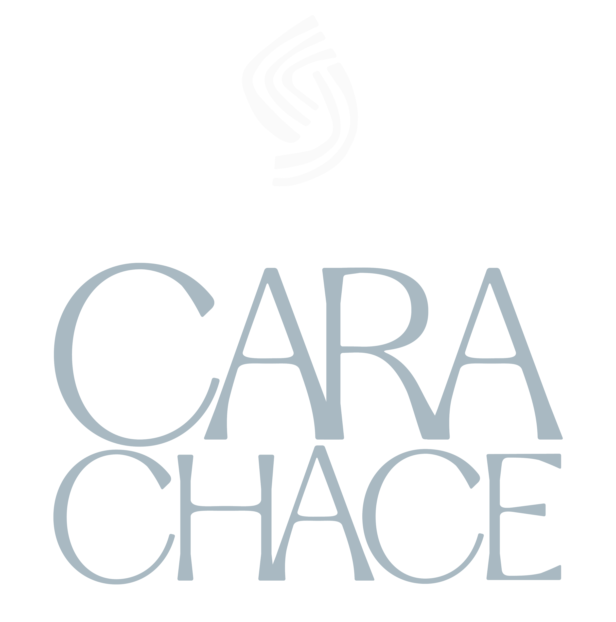 Cara Chace logo written in large, stylized letters.