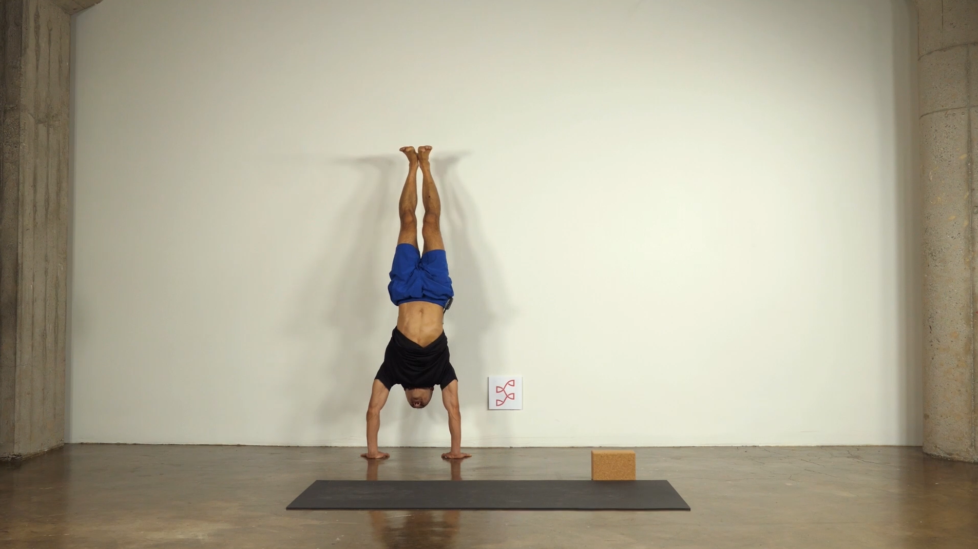 1174 3rd Principle (b) Inversions and Arm Balances.png
