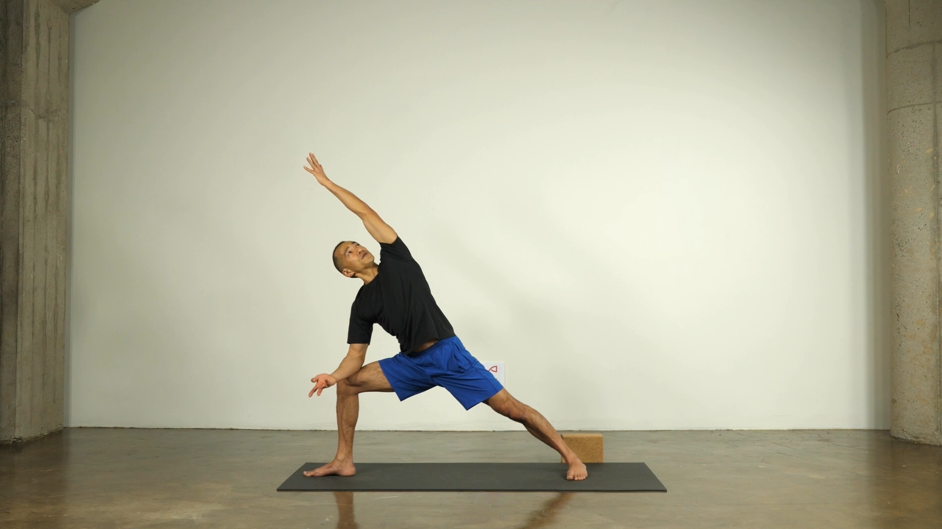 1173 3rd Principle (a) Standing Poses.png