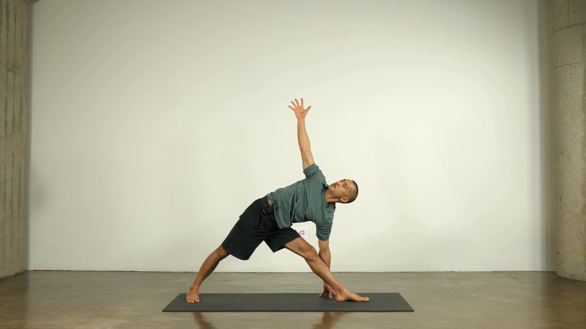 1186 4th Principle (a) Standing Poses.png