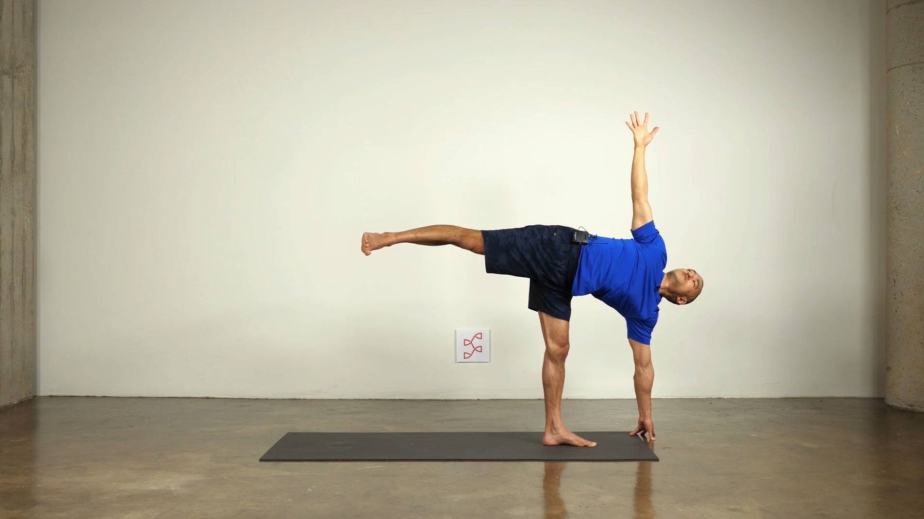 1201 5th Principle (a) Standing Poses.png