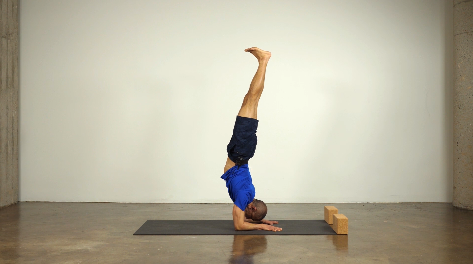 1202 5th Principle (b) Inversions and Arm Balances.png