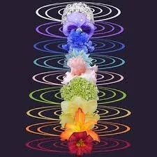 Advanced Chakra Manifestation Course