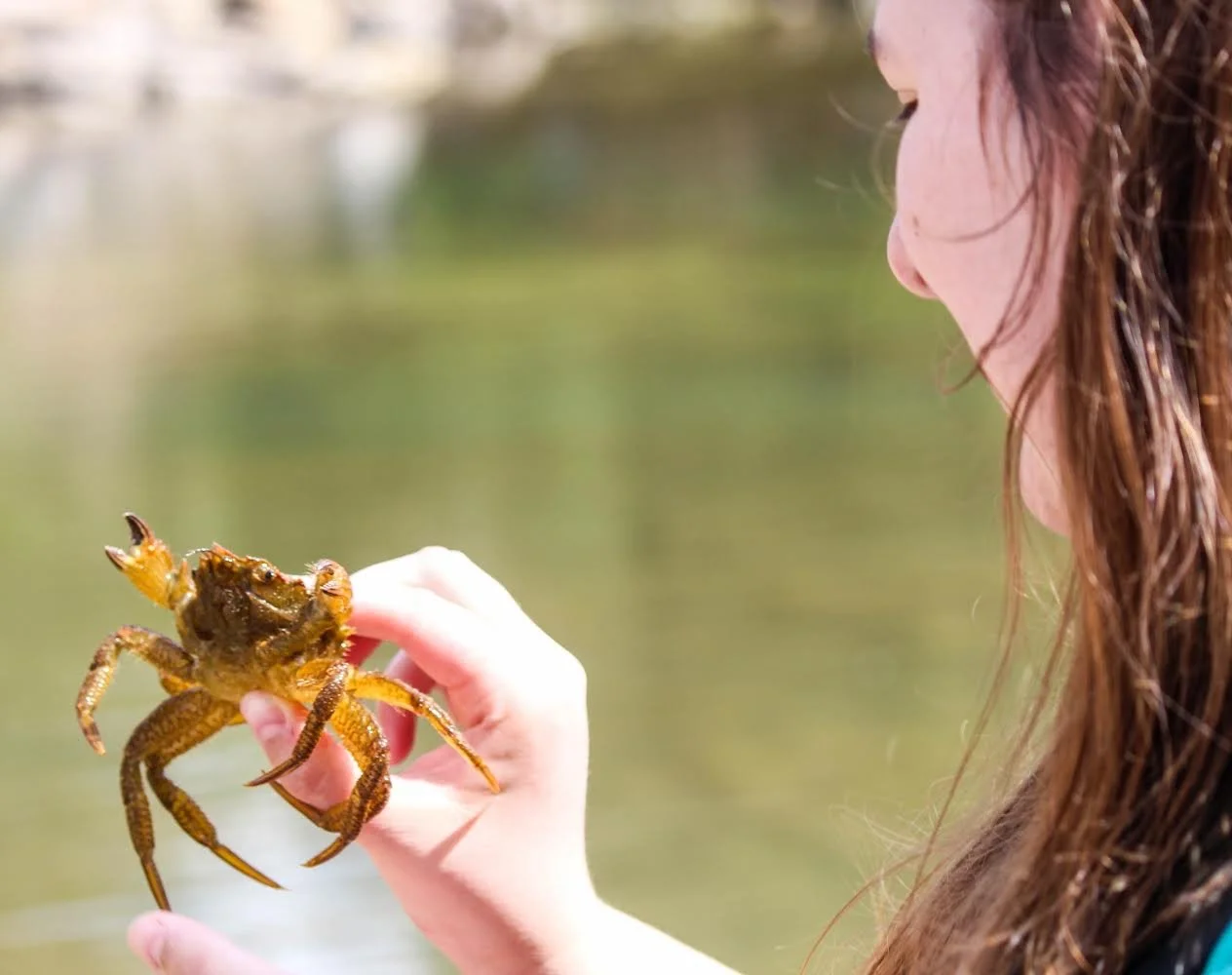 EGC Deployment at Whisky Slough