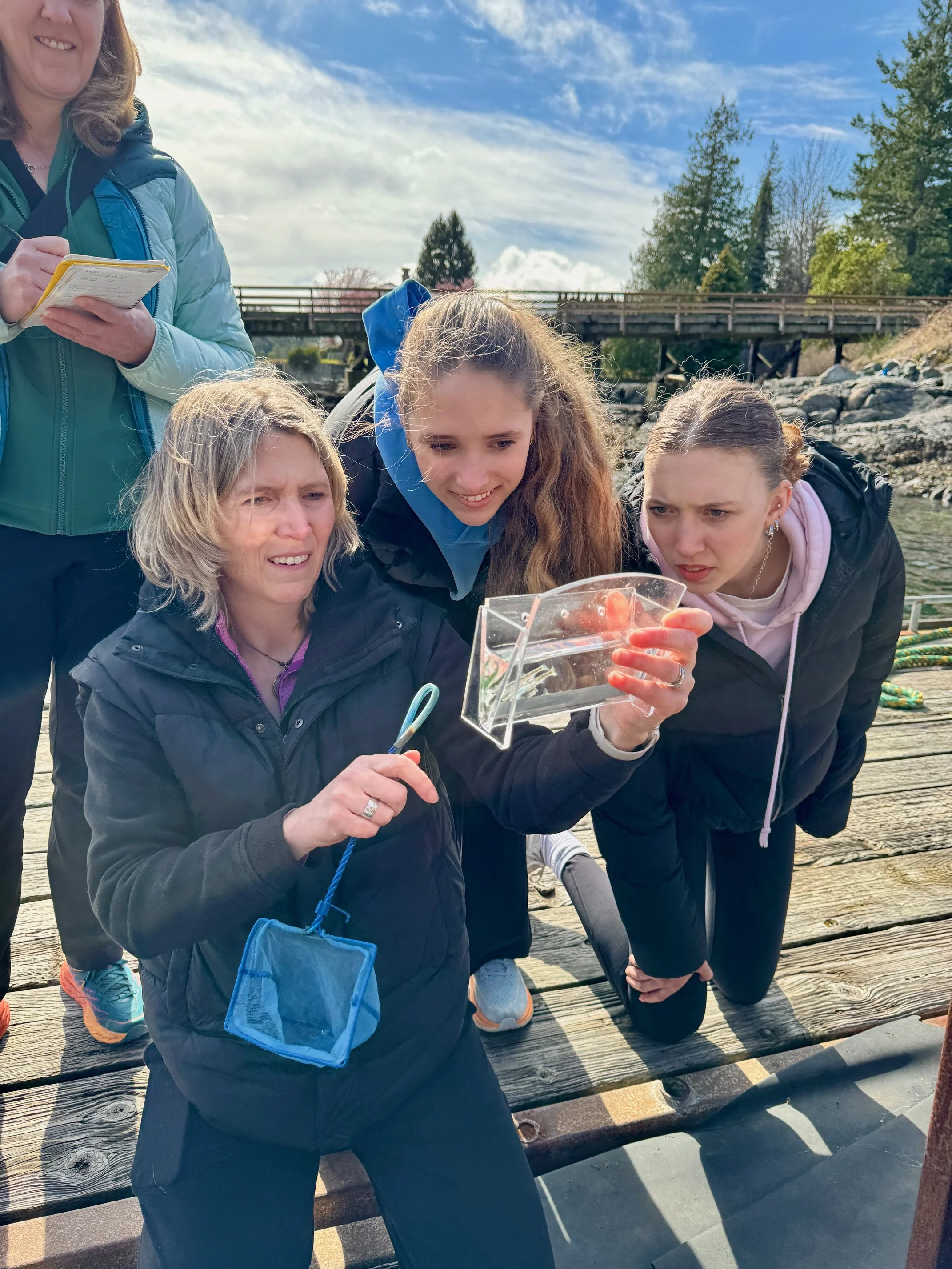 Juvenile Salmon Survey at Irvine's Landing