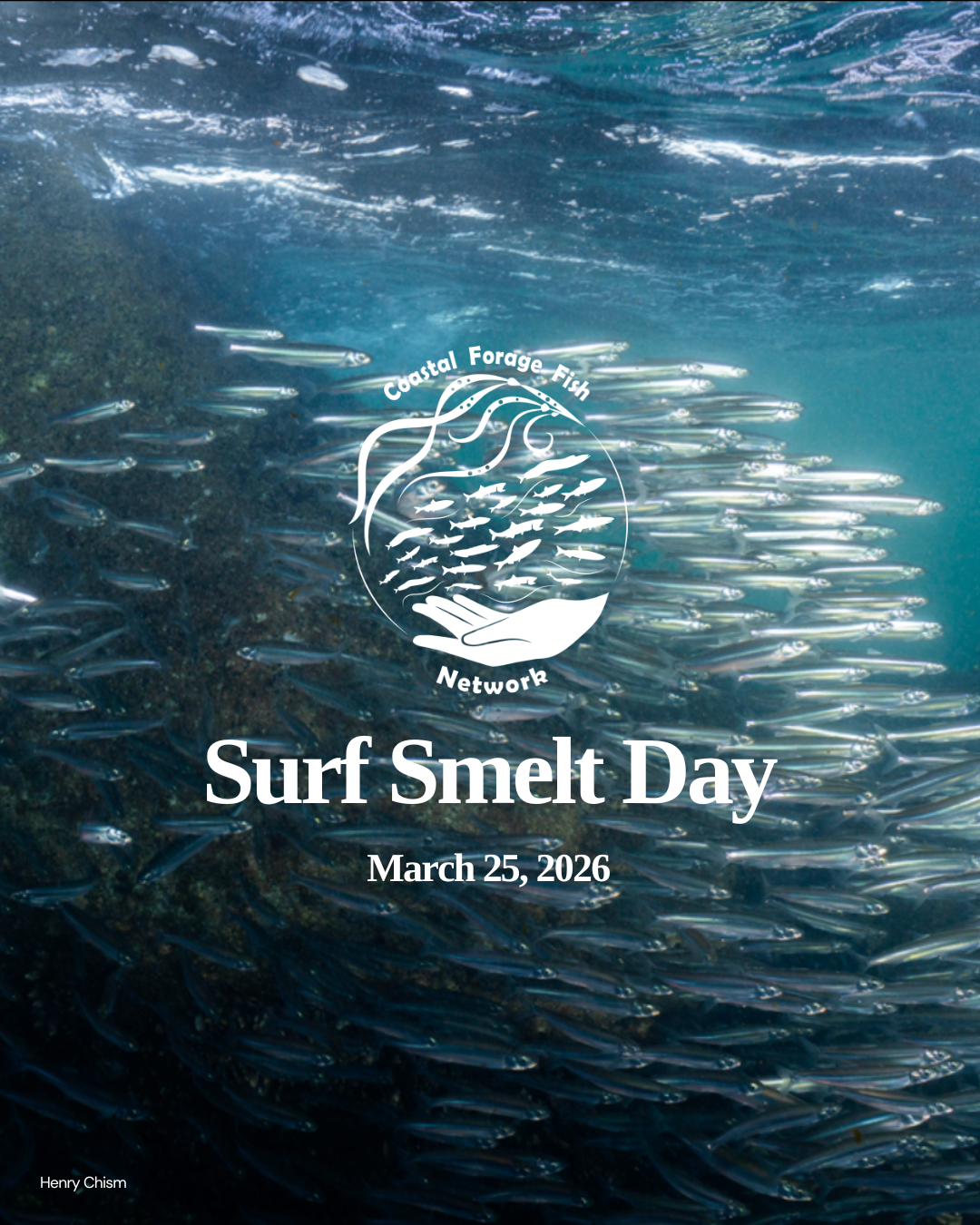 Surf Smelt Day