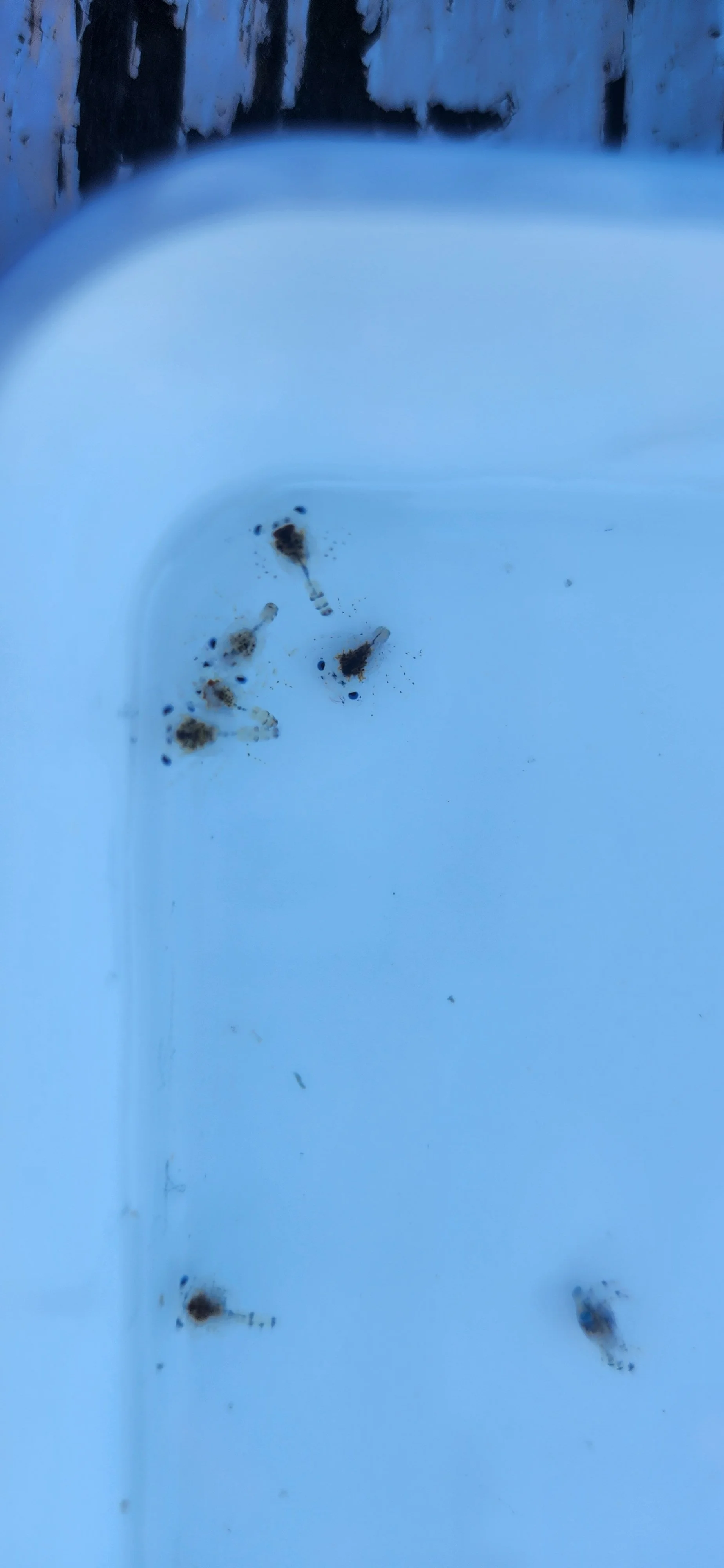 Photo 6.jpg