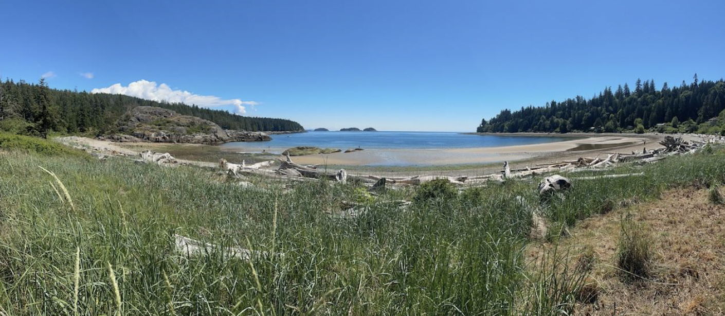 Vital Kelp Low Tide Exploration