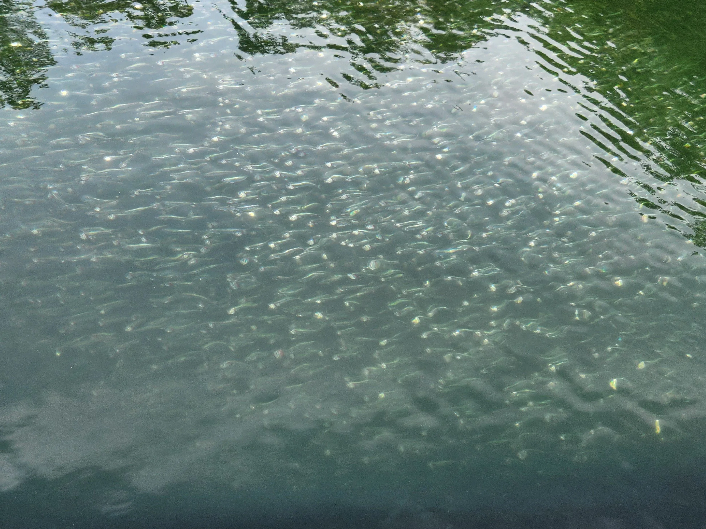 Photo 7.jpg