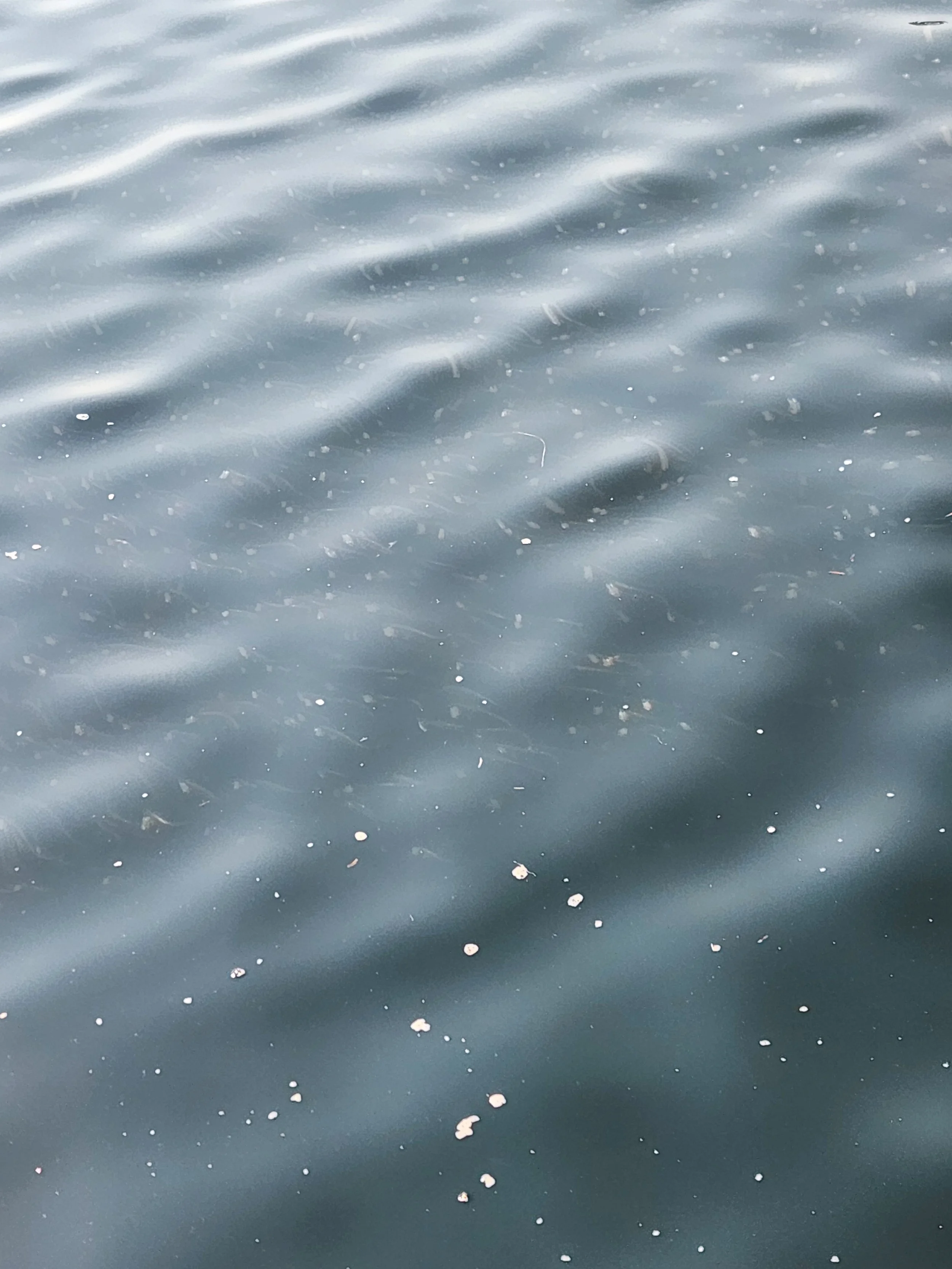 Photo 2.jpg