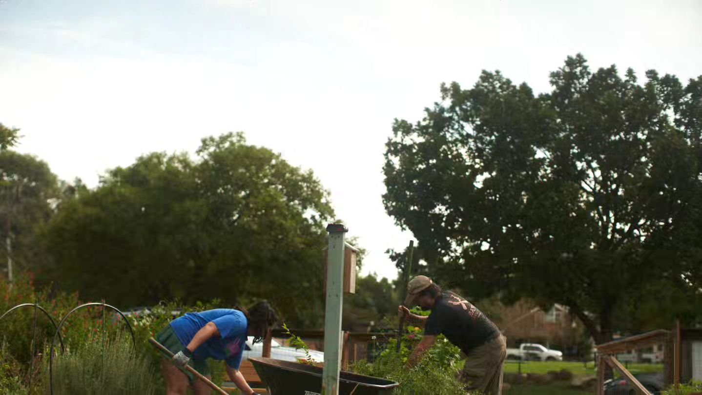 Thanks to all the peeps coming out to help us! Some of you don't even have plots so special thanks to you too!!!
#fairmountcommunitygarden #historicfairmount
