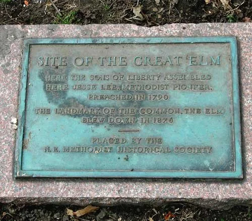 site-of-great-elm.jpg