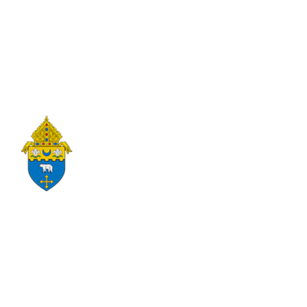 The North Carolina state flag with a coat of arms on the left and a white field with black text on the right.