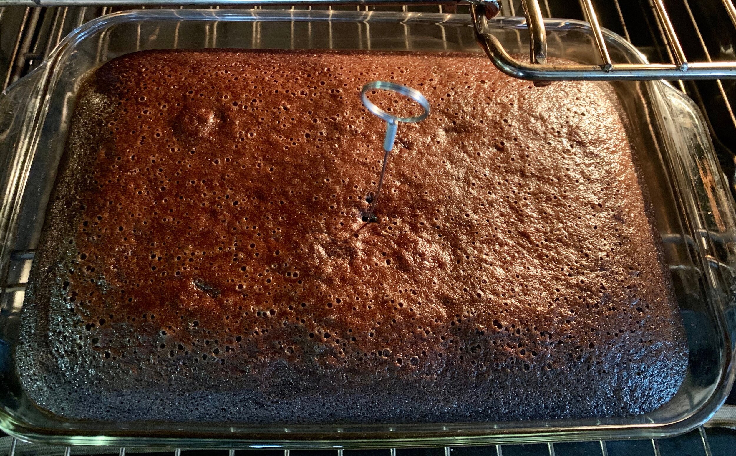 Mud Cake-testing doneness.jpeg