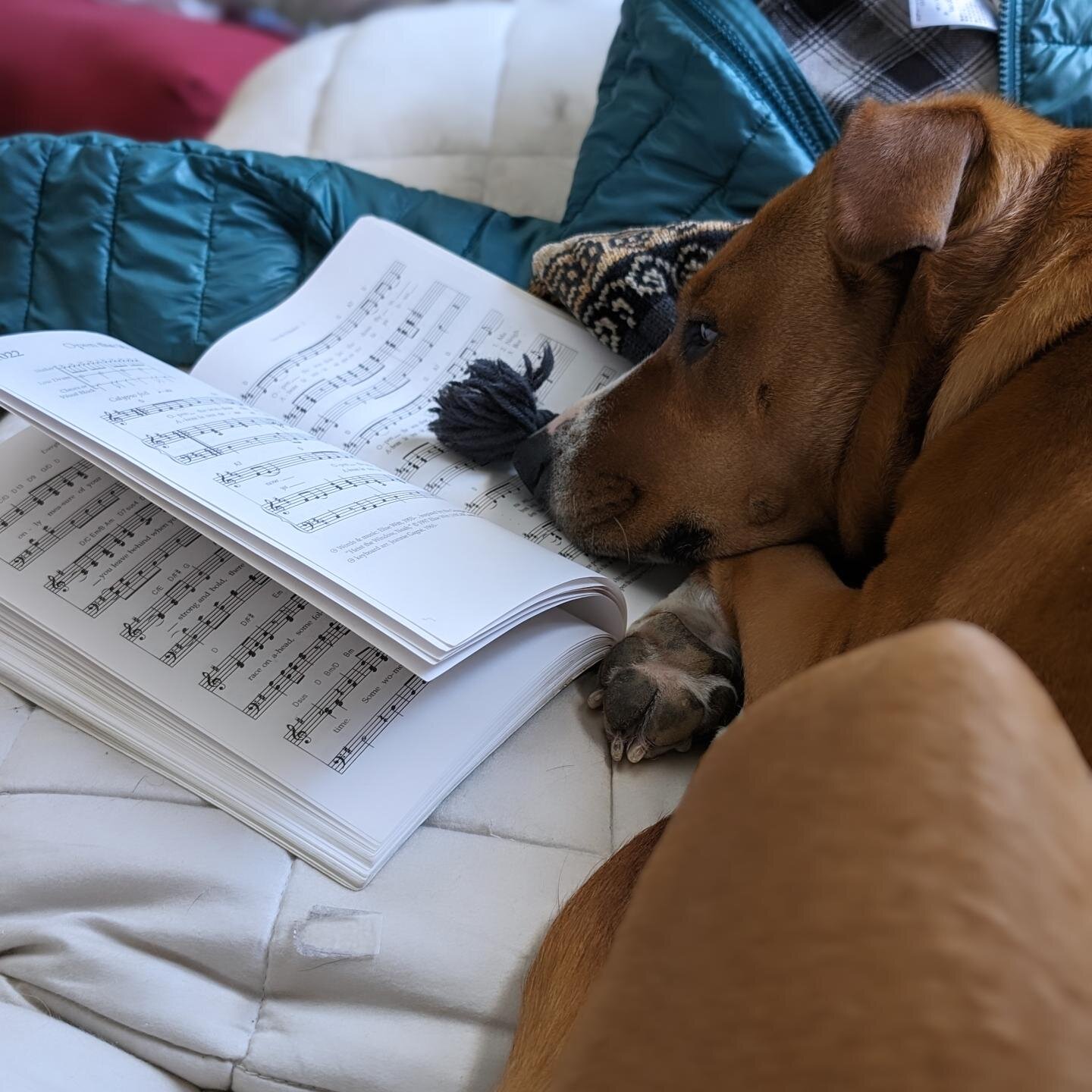 Millie is preparing the hymns for this week but is finding it hard to maintain focus.