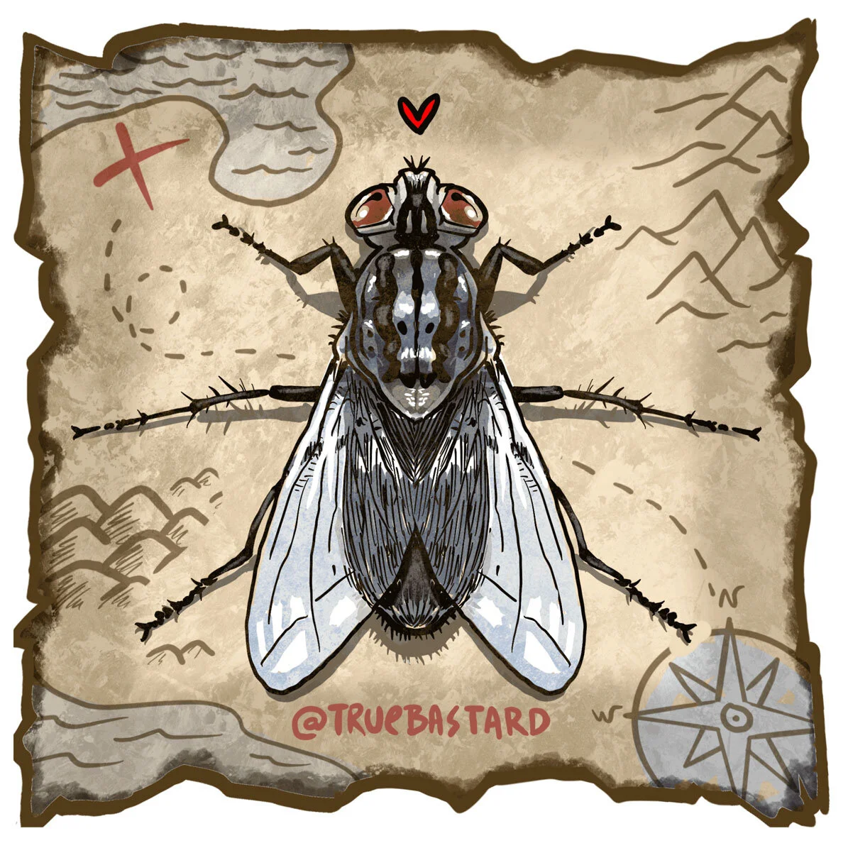 Fly map to the trash