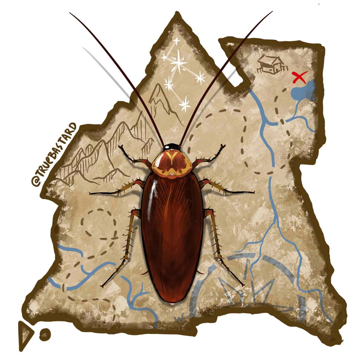 The roach's path