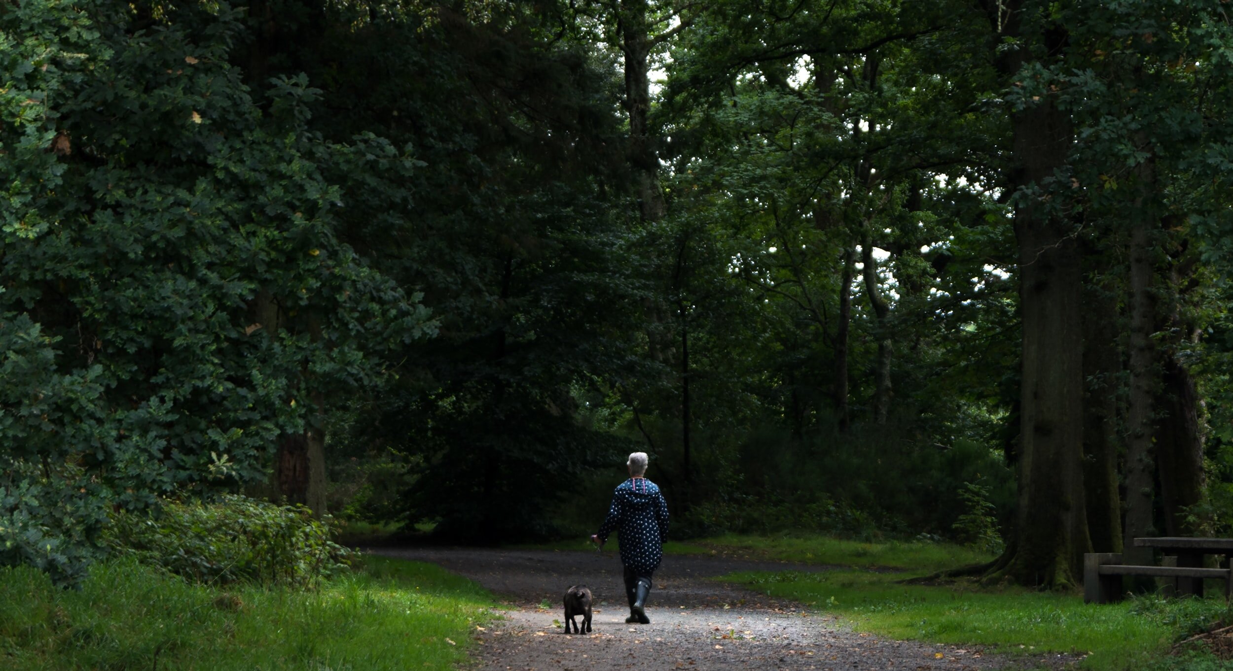 Issue 002: How a Dog Walk Turned into a Business Crisis