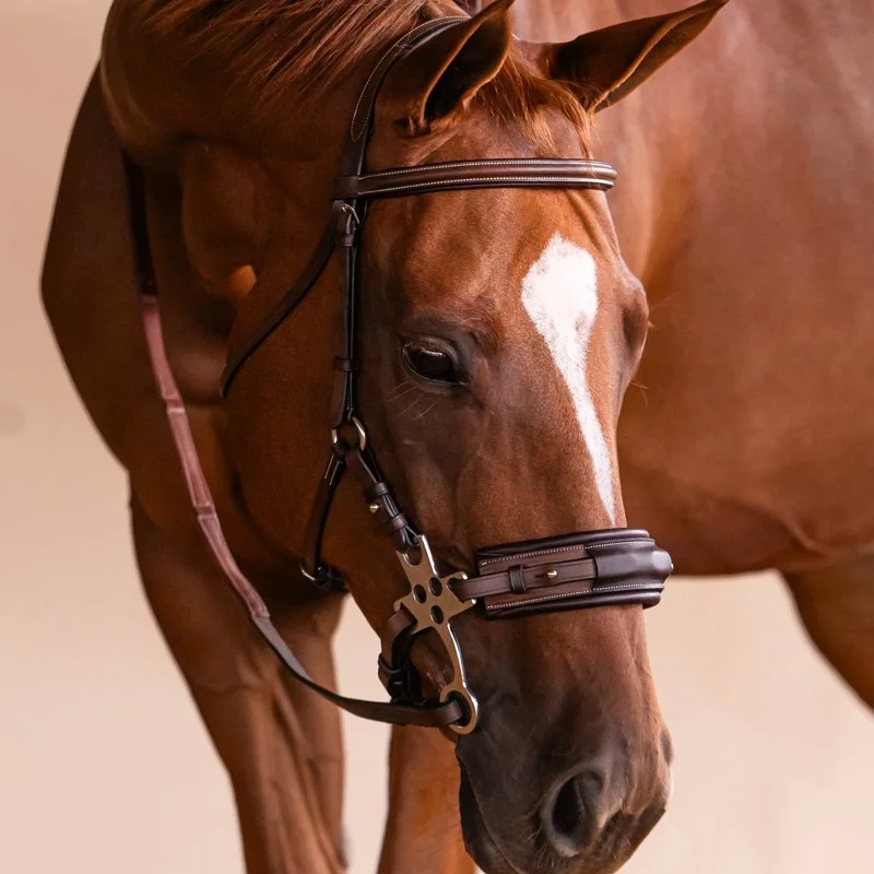 The ADT Hackamore Bridle