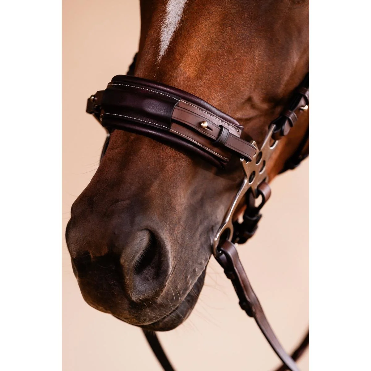 ADT Hackamore.5.jpg