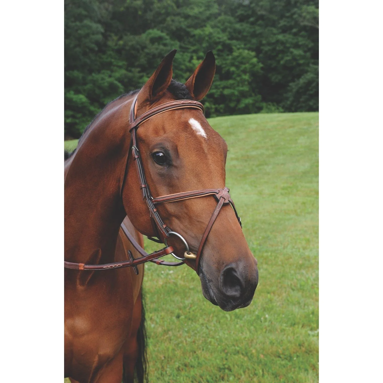Imperial Figure 8 Bridle with Raised Fancy Rubber Reins