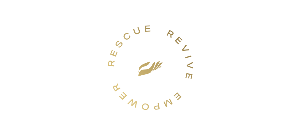 About Us — Rescue America