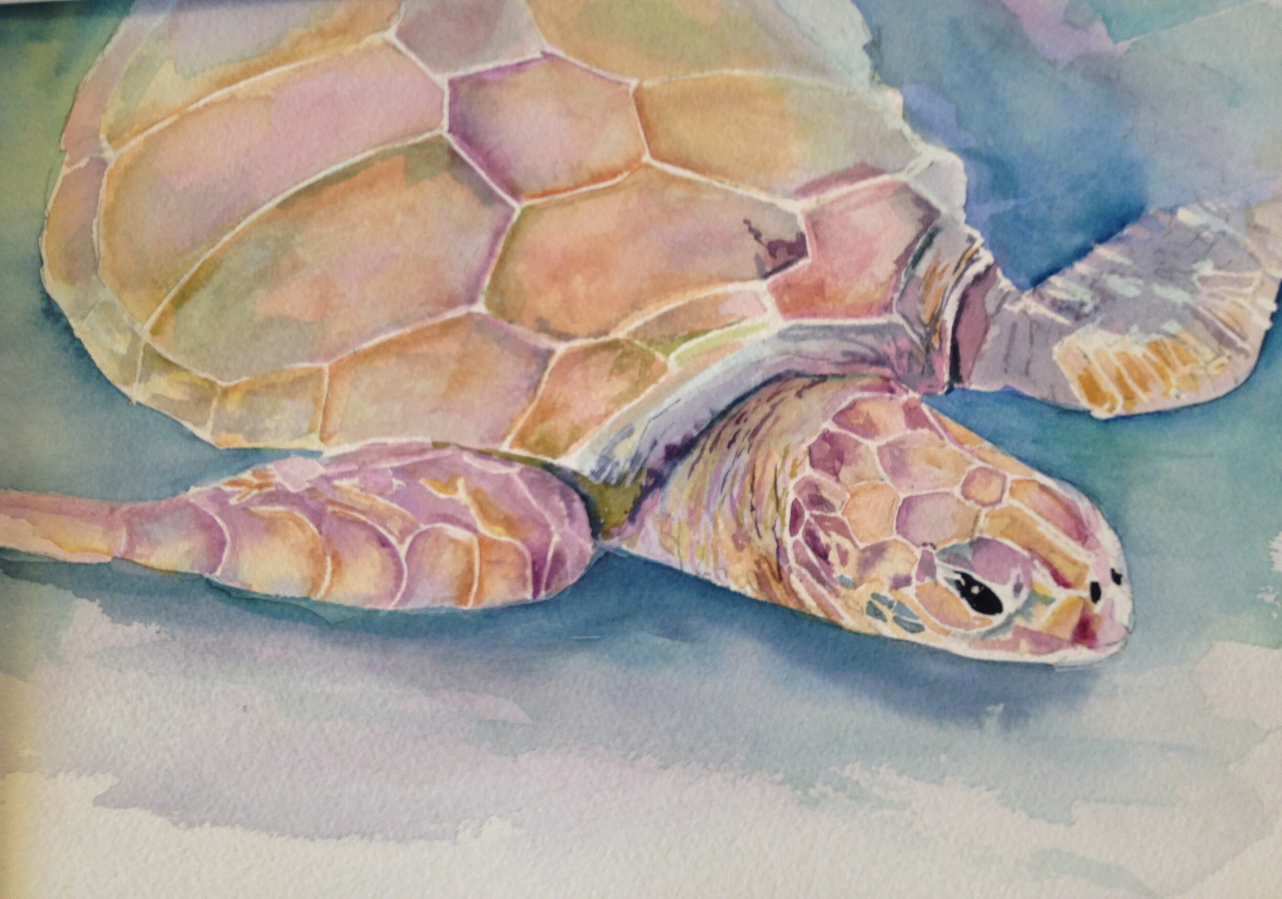 Sea Turtle II