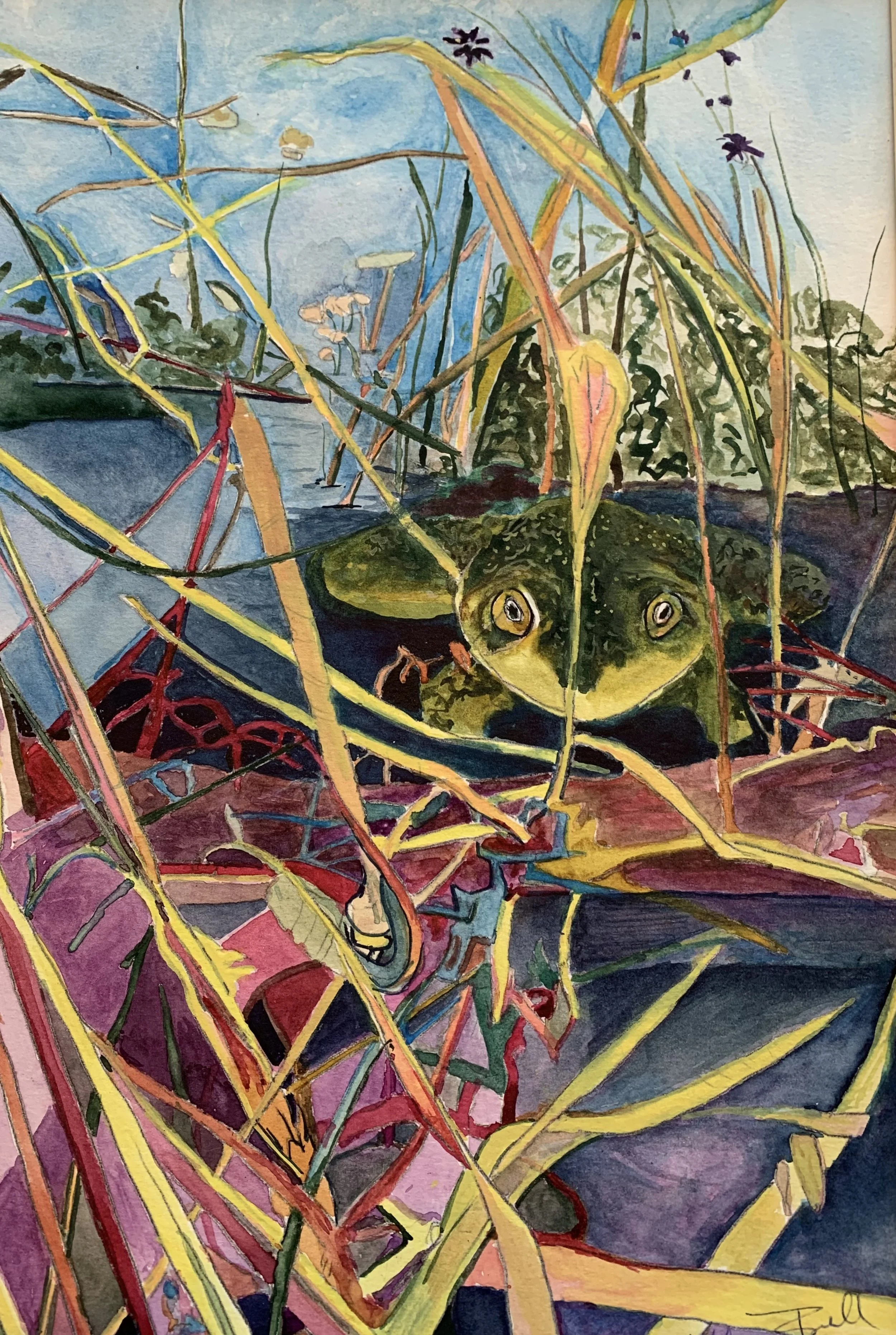 Frog Prince, Watercolor, 15x21"