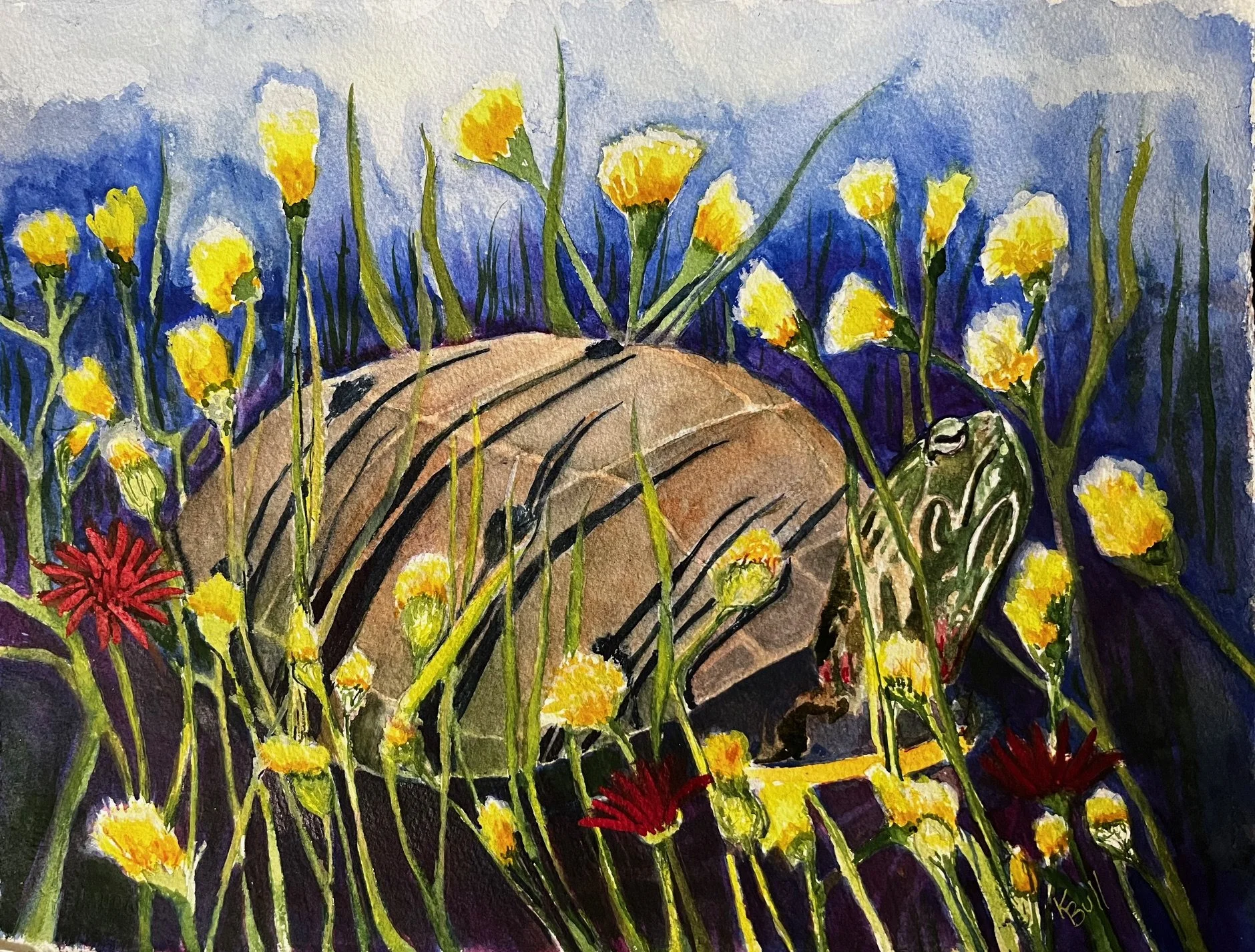 Basking, Watercolor, 16x20"