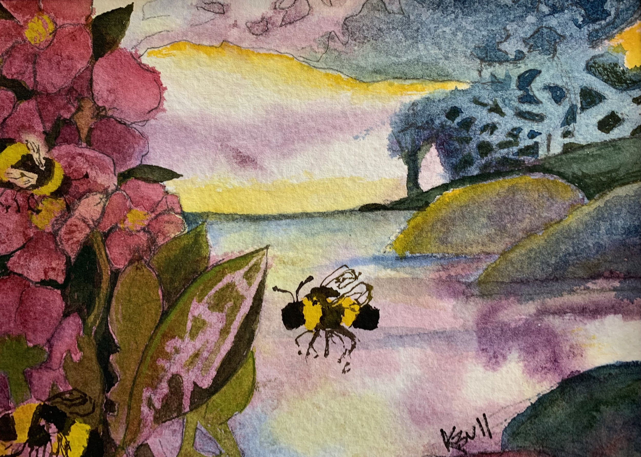 Sea Rose Buzzing.jpeg