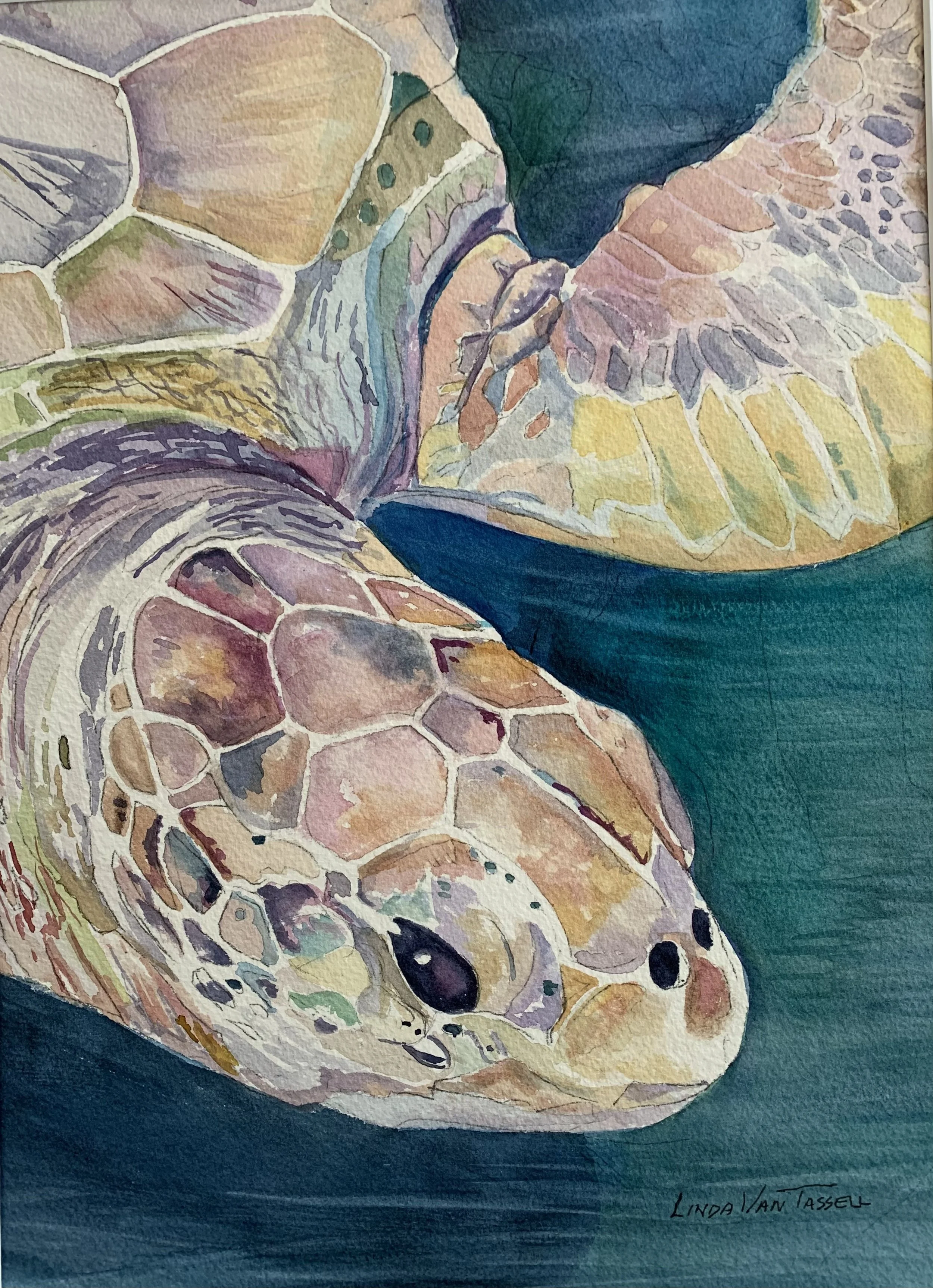 Sea Turtle I