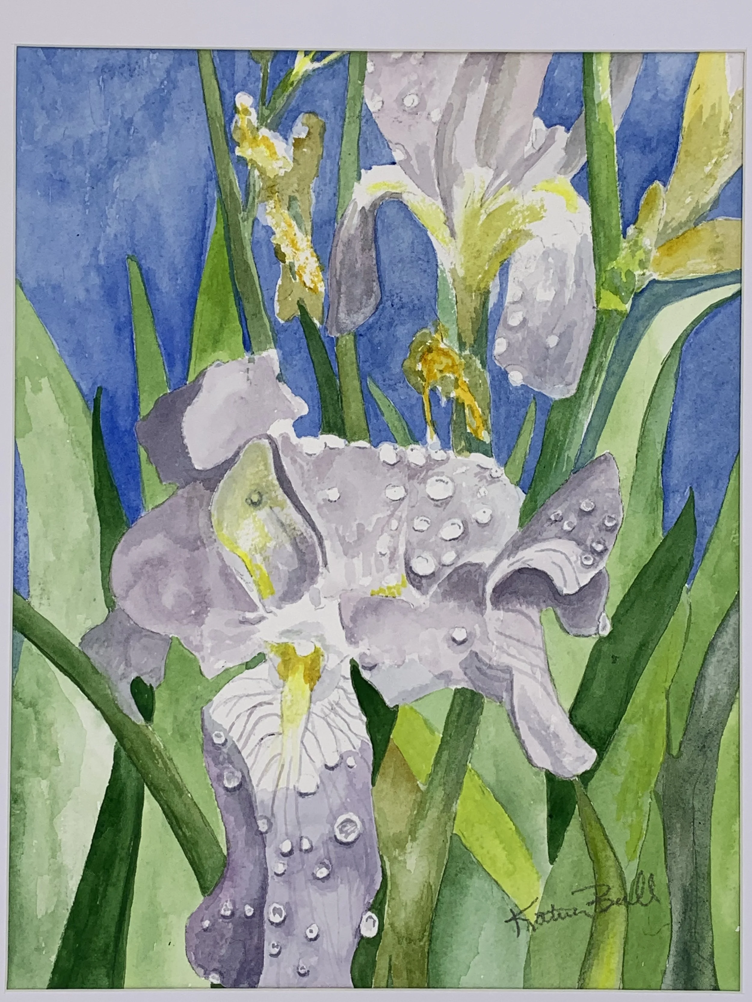 Iris, Watercolor, 20x16"