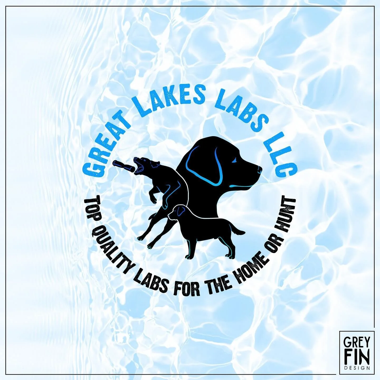 A lovely logo for a Lab breeder from last year 💦 🦈